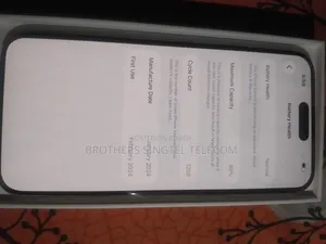 Apple iPhone 15 Pro Max 256 GB Gray