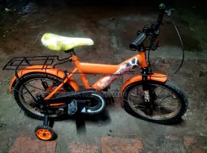 Sunshare 16 Size Baby Cycle