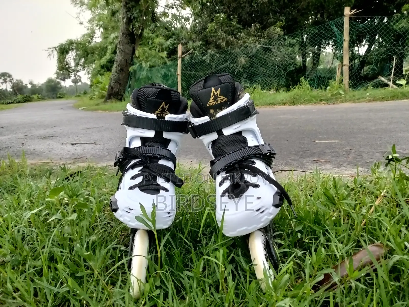 স্কেটিং জুতো