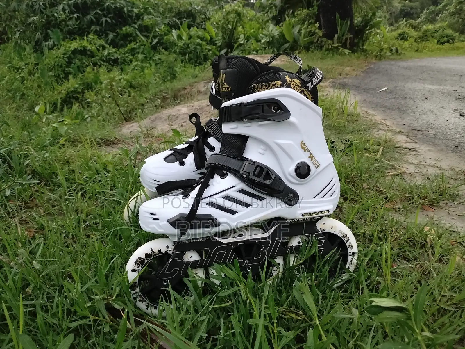 স্কেটিং জুতো