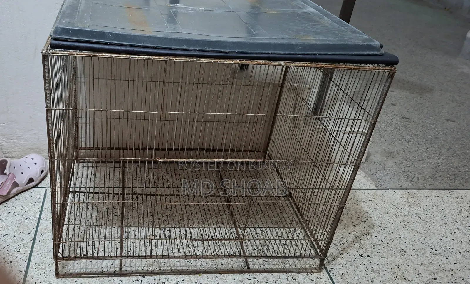 Iron Cage