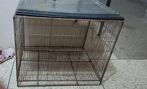 Iron Cage