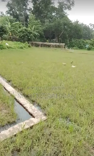 Land for sale