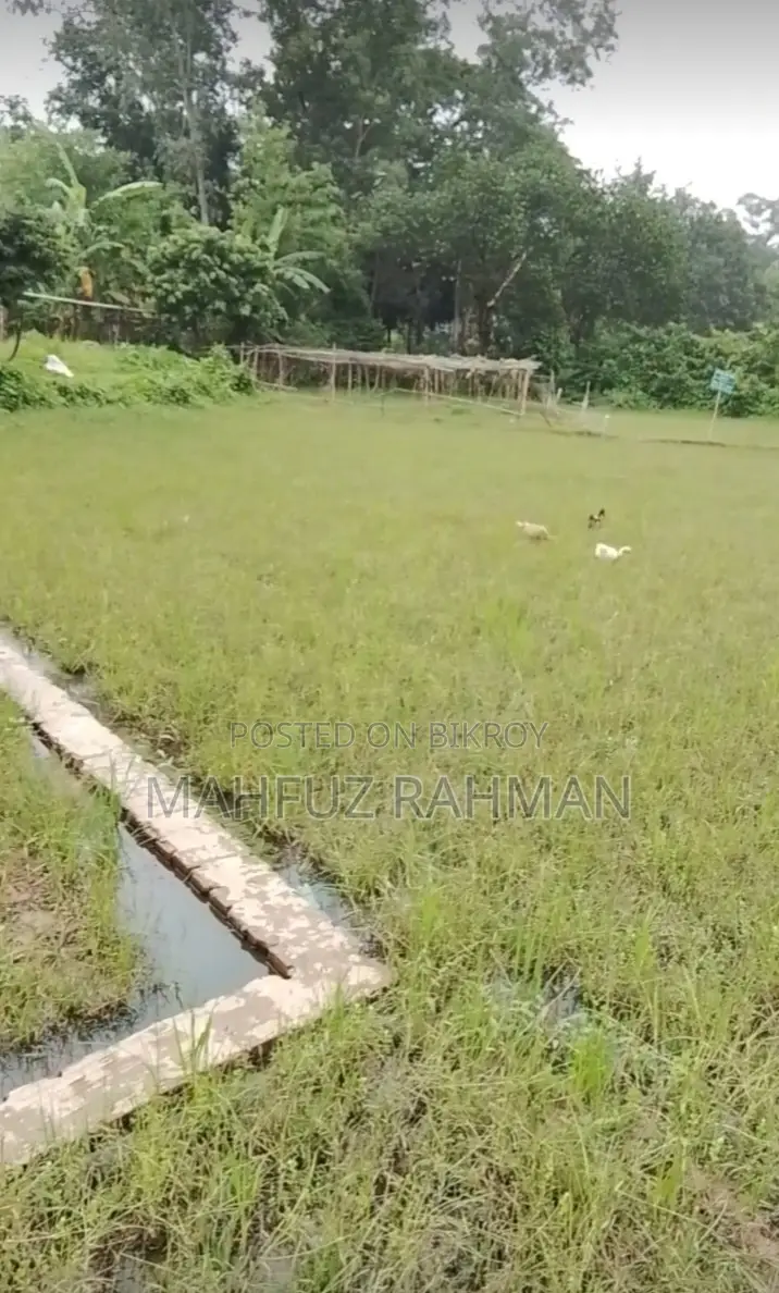 Land for sale