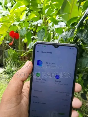 Oppo A53s 256 GB Silver