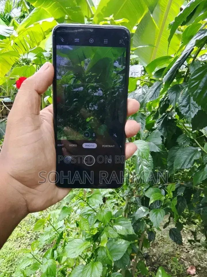 Oppo A53s 256 GB Silver