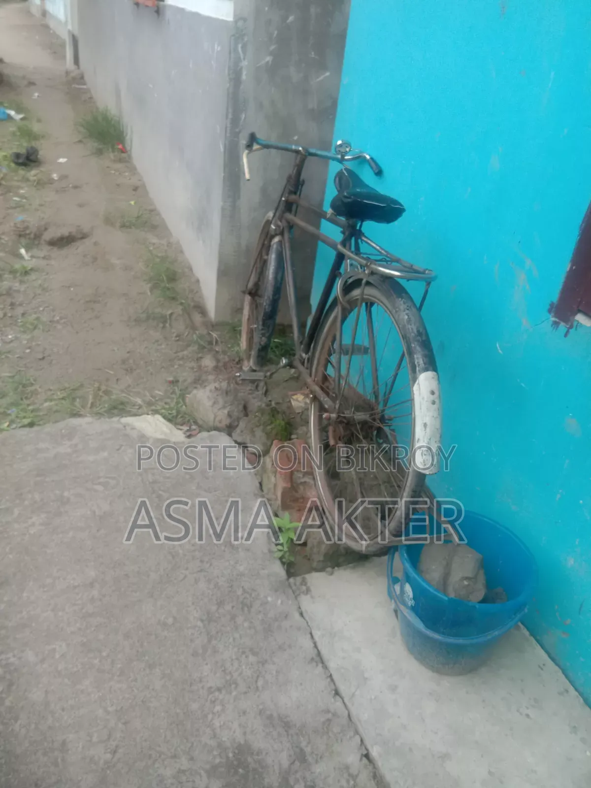 Phoenix bicycle for sale