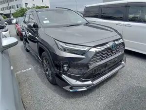 Toyota RAV4 Hybrid 2023 Gray