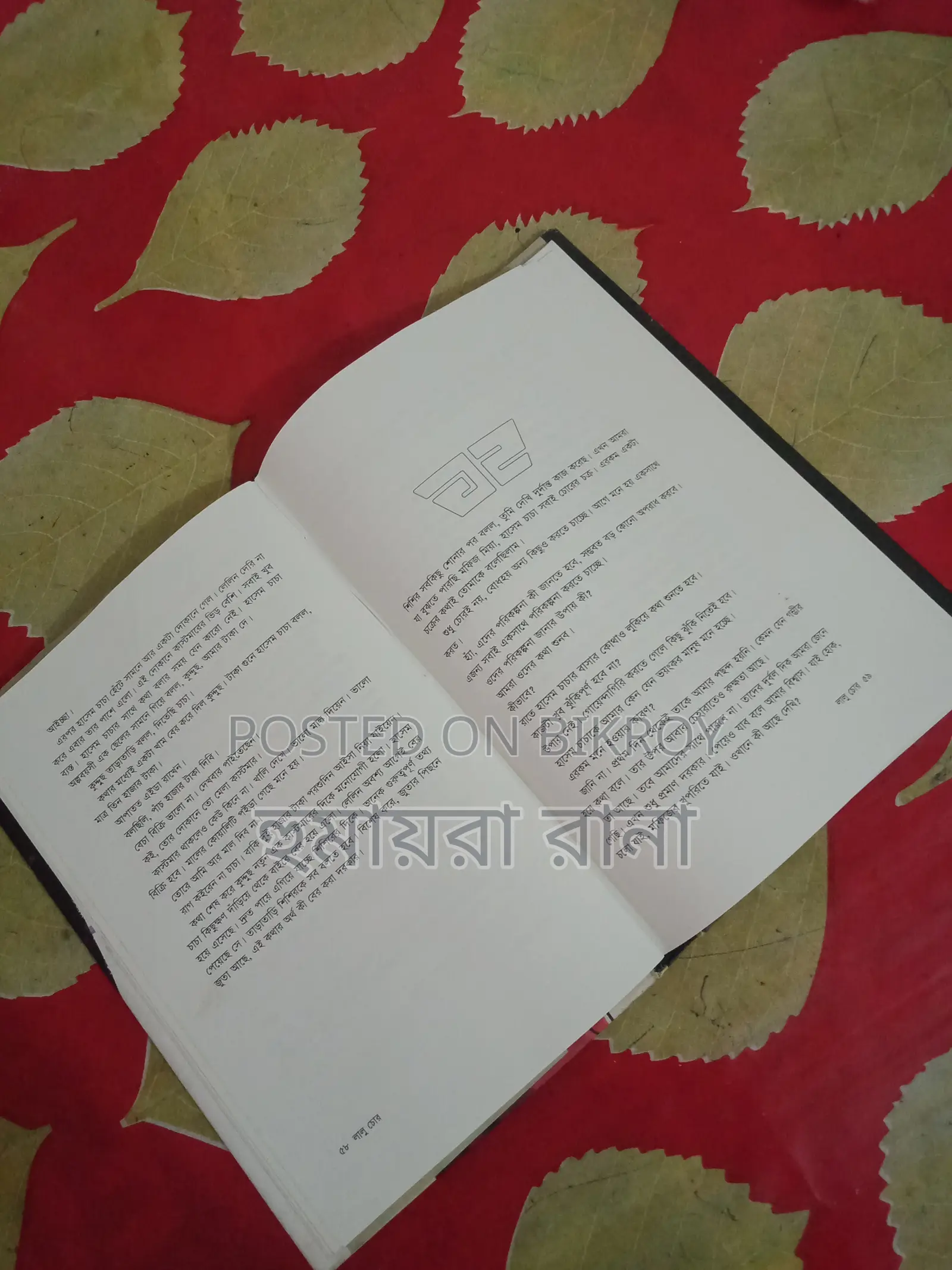 Story Book | Lalu Chor | Shishilin Kishore