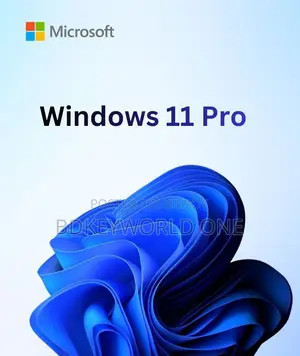 Windows 11 Pro