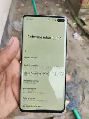 স্যামসাং গ্যালাক্সি এস১০ প্লাস ১২৮ জিবি নীল