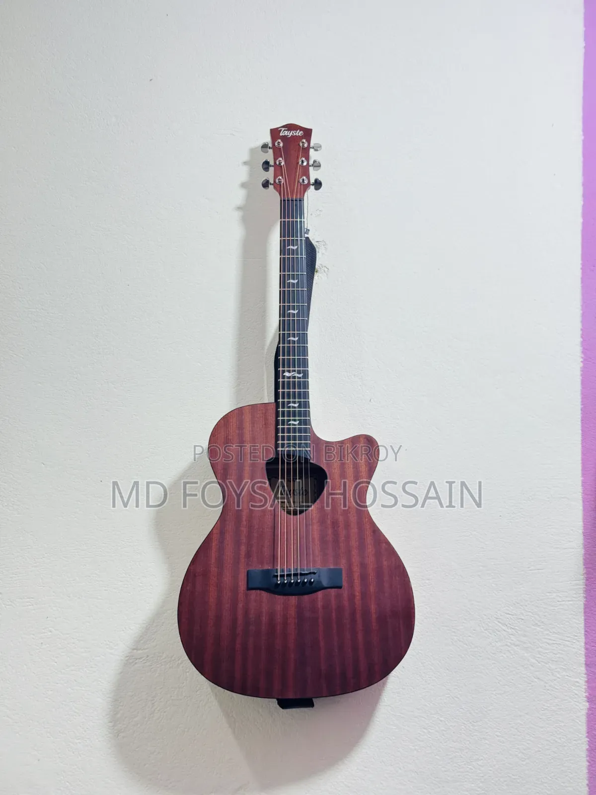 Guitar (Tayste Ts 32)