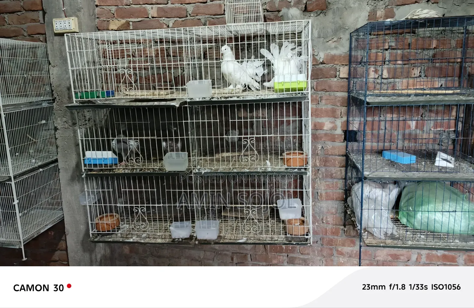 ৪ পিস সেকেন্ড হ্যান্ড খাঁচা