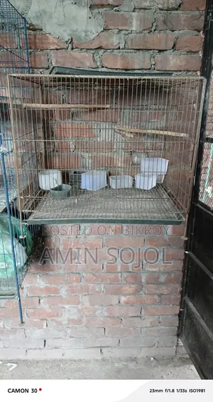 ৪ পিস সেকেন্ড হ্যান্ড খাঁচা