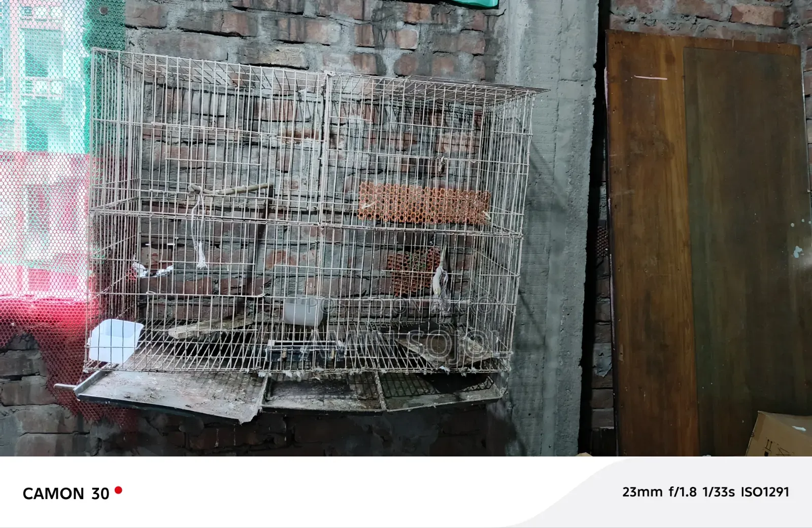 ৪ পিস সেকেন্ড হ্যান্ড খাঁচা