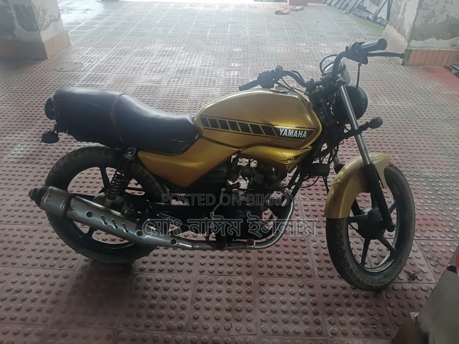 Yamaha 2020 Gold