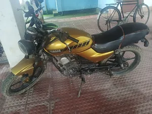 Yamaha 2020 Gold