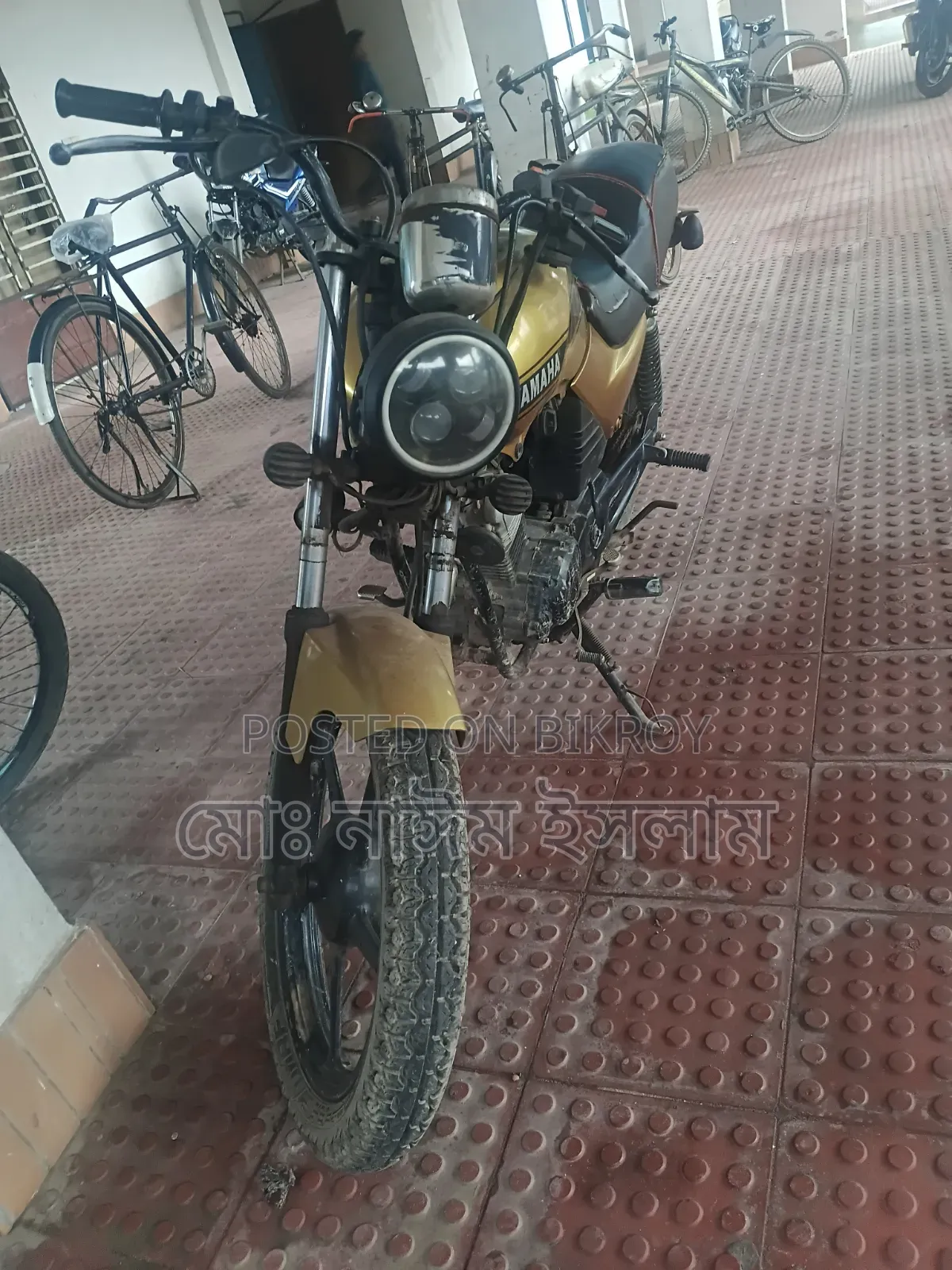 Yamaha 2020 Gold