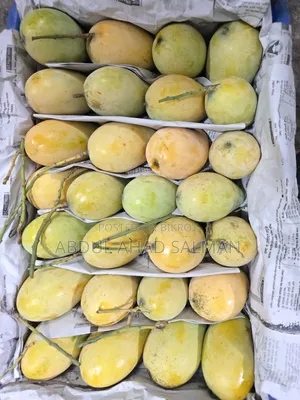 Vip আম বাবলু এন্টারপ্রাইজ