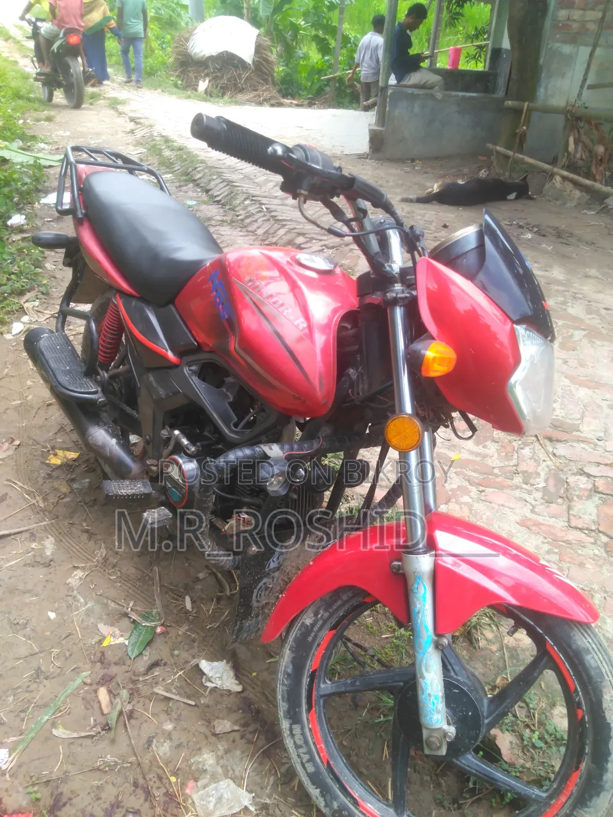 Victory 8-Ball 2013 Red