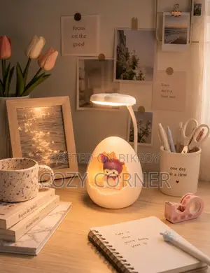 Cute Design Desk Lamp