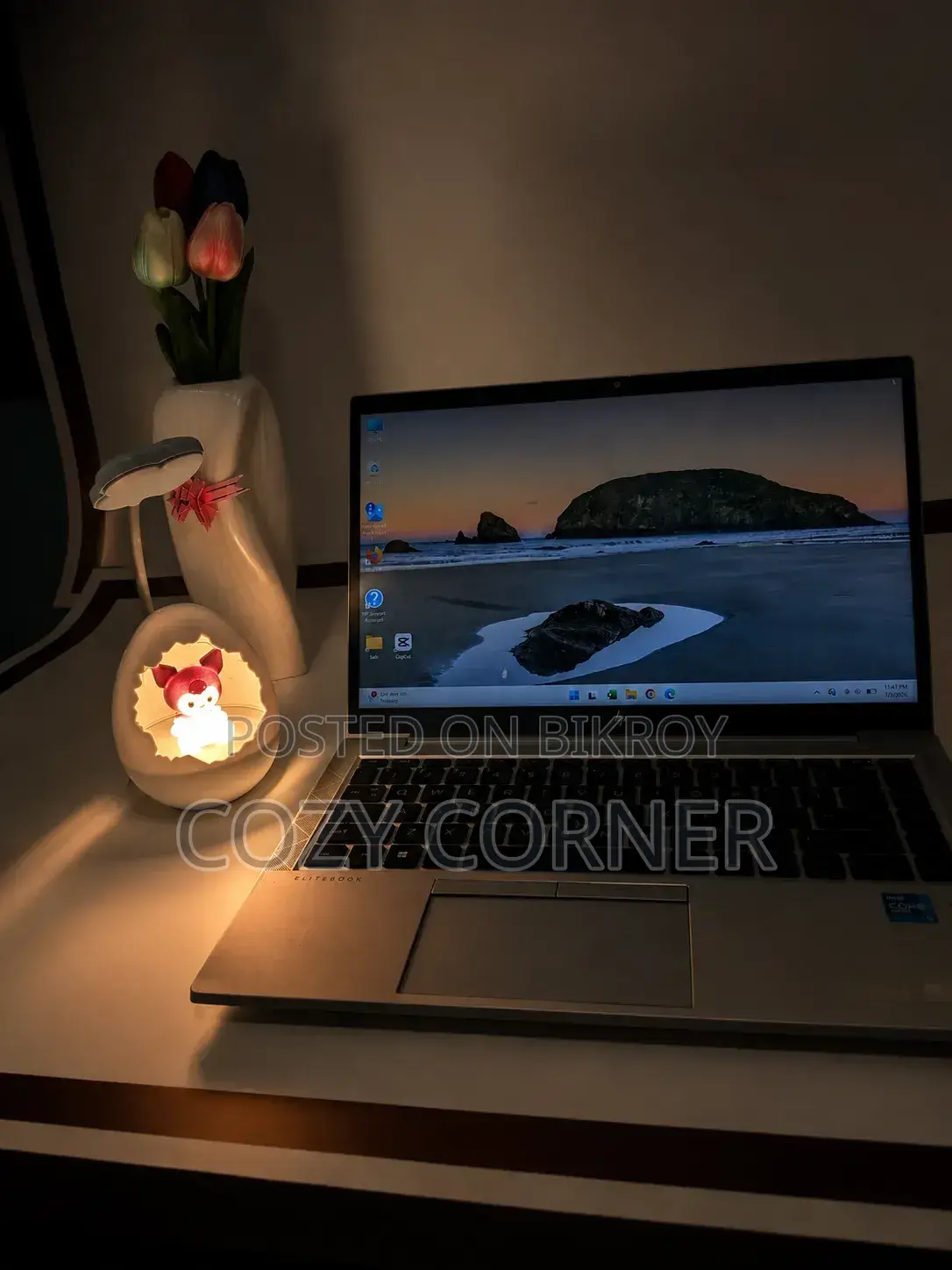 Cute Design Desk Lamp