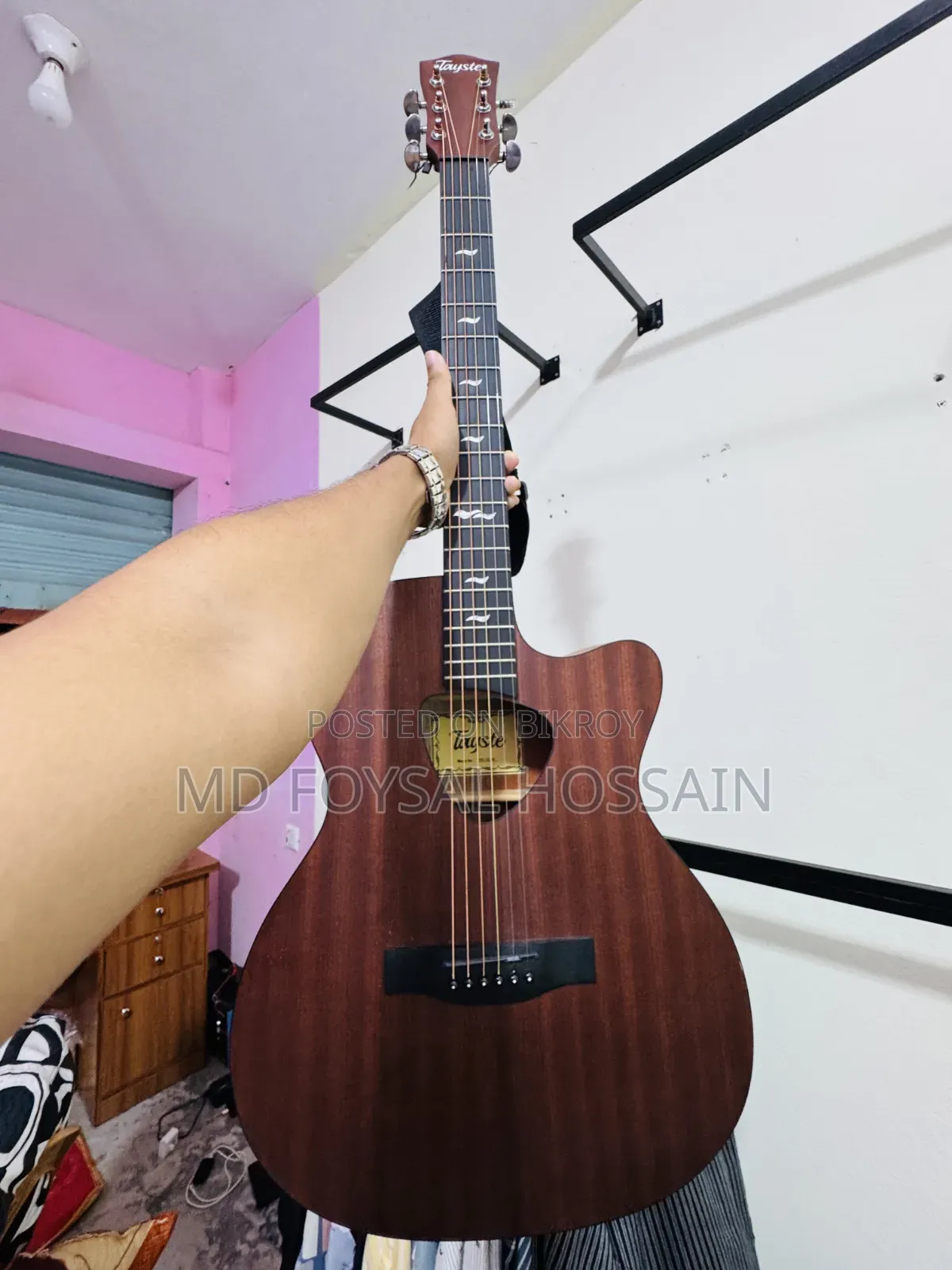 Guitar (Tayste Ts 32)