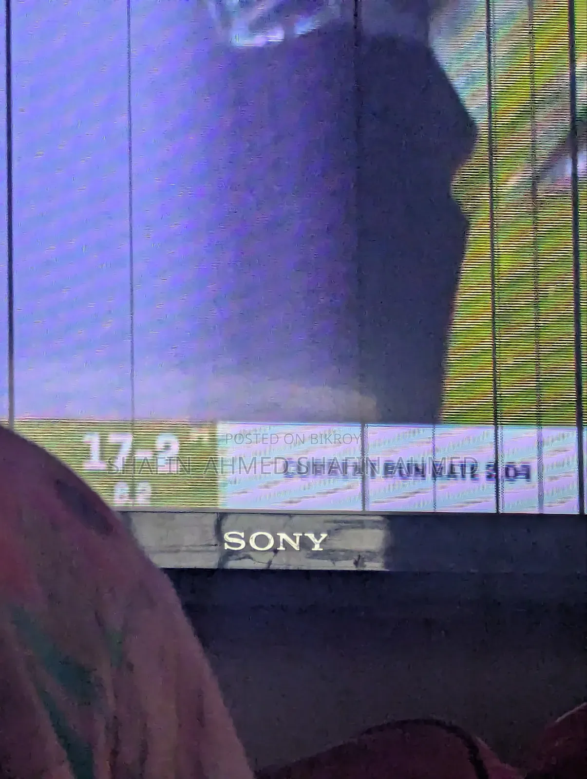 Sony Bravia