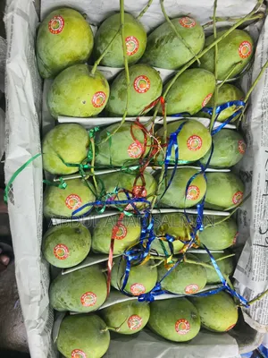 VIP Rupali Mango, Rajshahi District