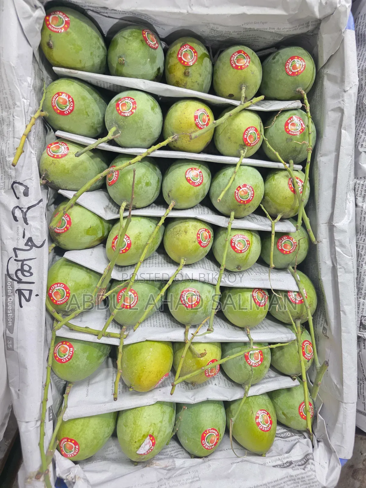 VIP Rupali Mango, Rajshahi District