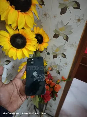 অ্যাপল আইফোন ১৩ ২৫৬ জিবি ব্ল্যাক