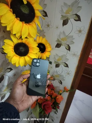 অ্যাপল আইফোন ১৩ ২৫৬ জিবি ব্ল্যাক