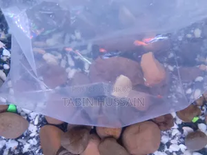 উচ্চ মানের পূর্ণ বয়স্ক মিক্স গাপ্পি ৭ পিস (দাম ফিক্সড) জরুরি বিক্রি