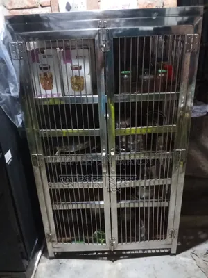 অরিজিনাল এস এস রেক