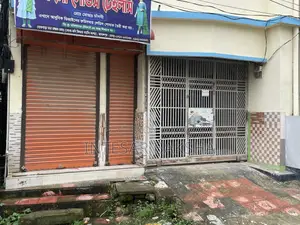 Ms Gate for Garage