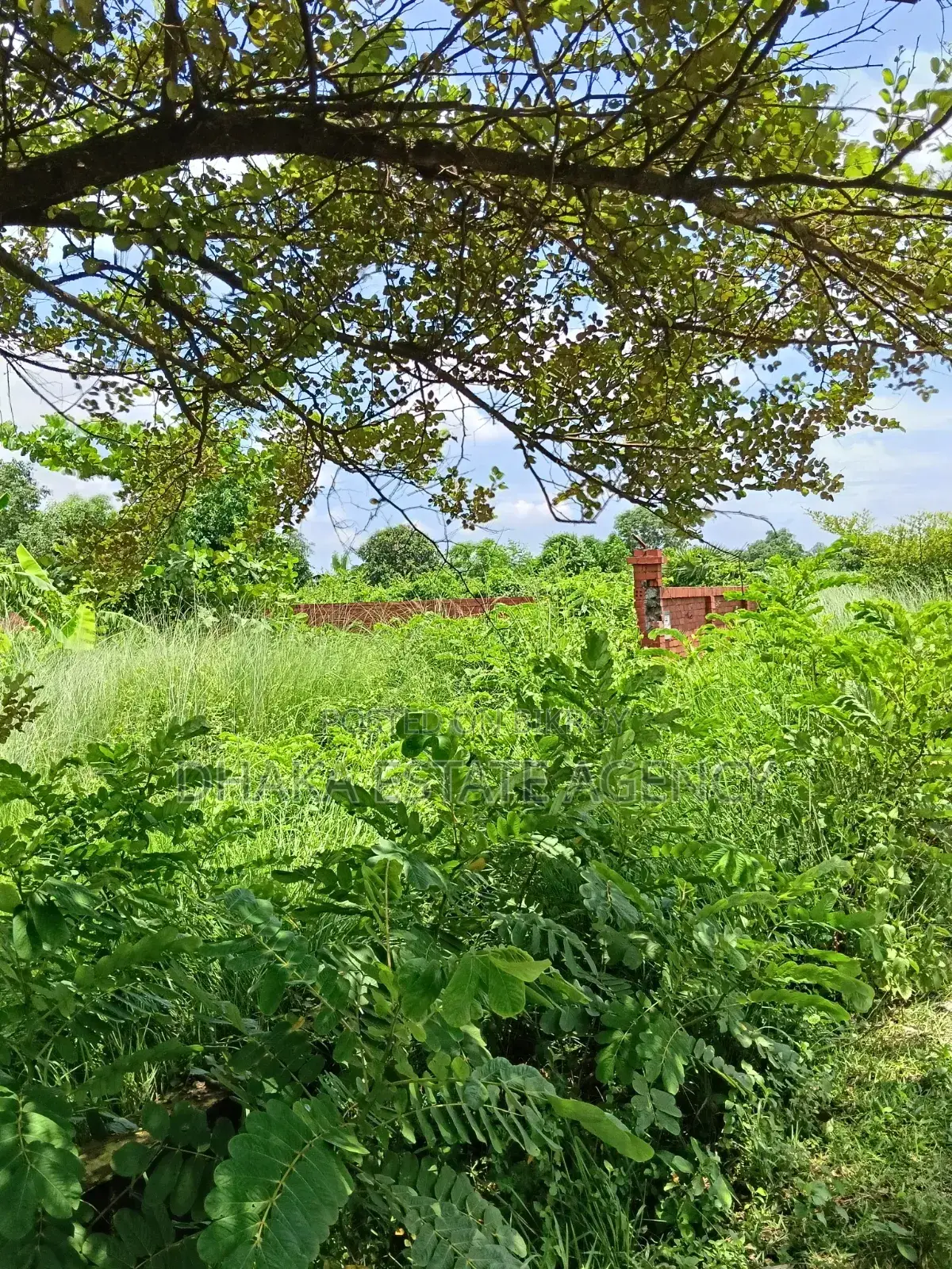 সেক্টর-১, রিভার ভিউ স্টেডিয়াম কর্নার ১০ কাঠা