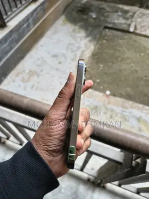 Apple iPhone 14 Pro 256 GB Silver