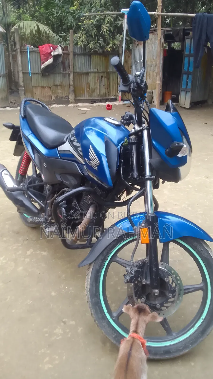 হোন্ডা ২০১৯ ব্লু