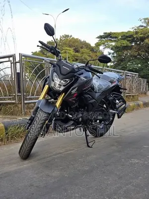 Honda Hornet 2025 Black