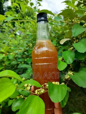 প্রকৃতির খাঁটি স্বাদ, আপনার পরিবারের জন্য