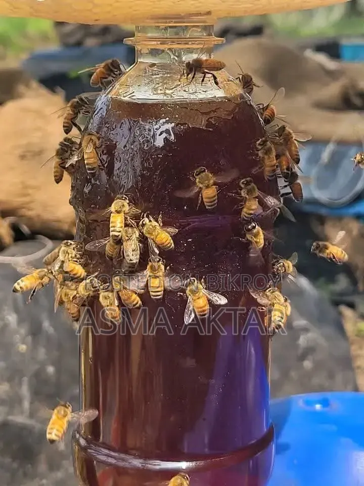 প্রকৃতির খাঁটি স্বাদ, আপনার পরিবারের জন্য