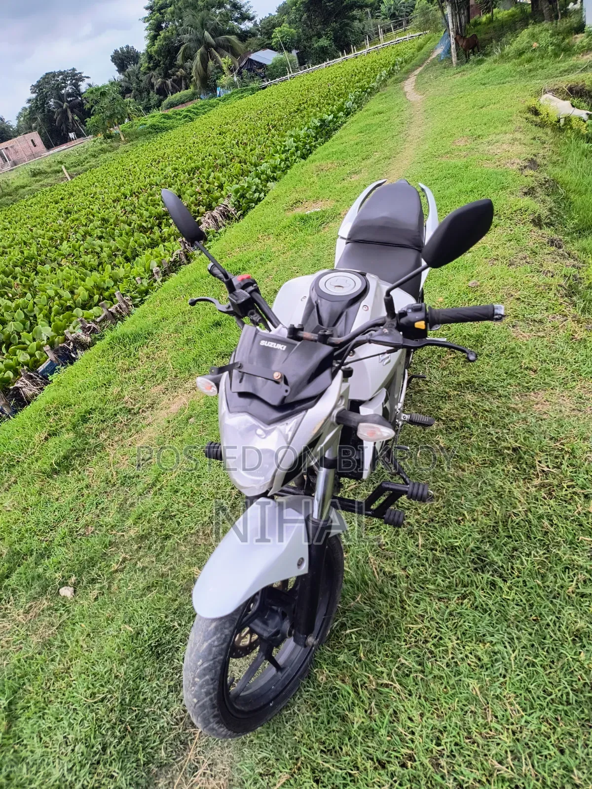 সুজুকি জিক্সার মনোটোন ২০২৩ সিলভার