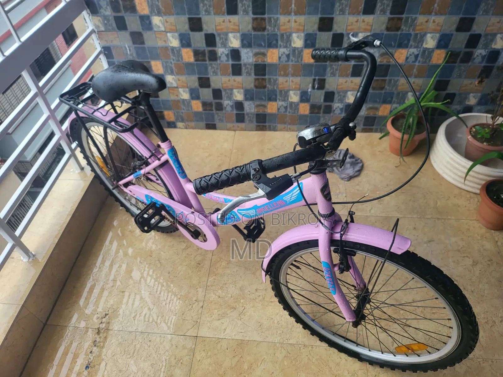 Girl Bicycle