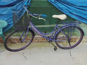 Seventy One Ruby 26 Cycle, Like New
