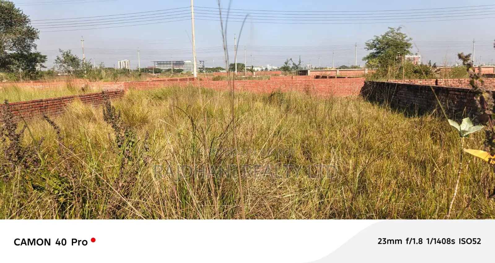 3 Katha Plot for Sale in P Block, Bashundhara R/A, Baridhara.