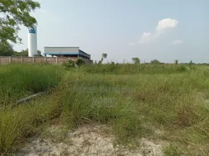 Let's buy land together, build our own flat.