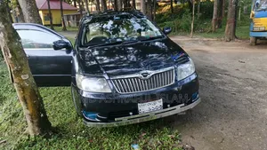 Toyota Corolla Fielder 2005 Black