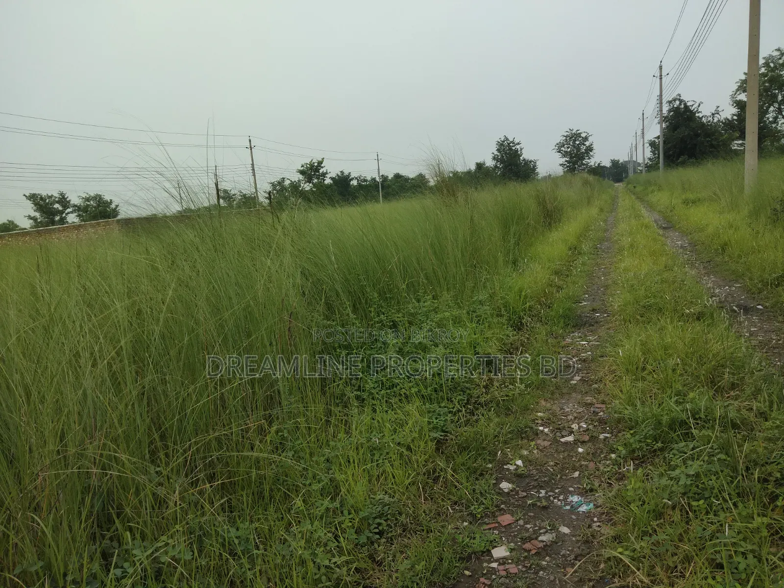 Plot Sell N-Block South Face 3 Katha in Bashundhara