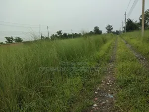 Plot Sell N-Block South Face 3 Katha in Bashundhara