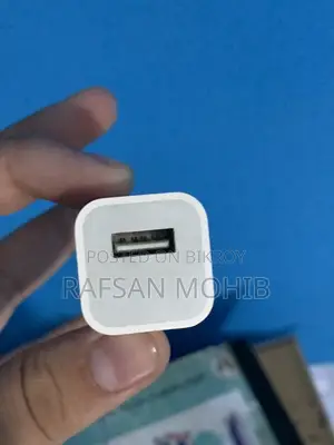 Apple Original Charger